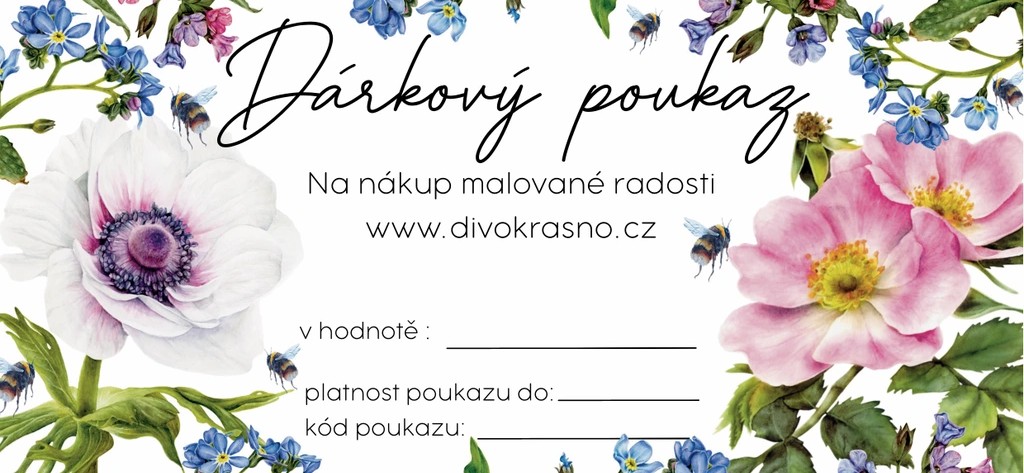 1721-2_darkovy-poukaz-s-obalkou-tisteny