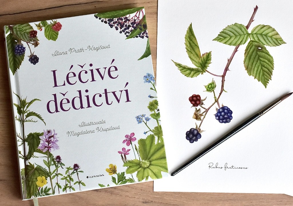 2952-18_lecive-dedictvi