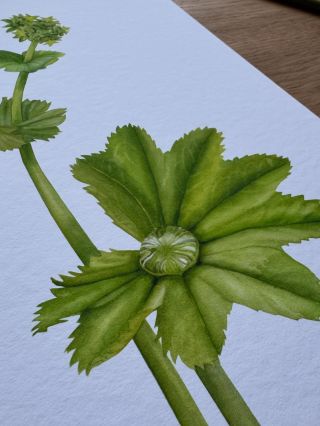 Namalovala jsem knihu a vy si o tom právě teď můžete přečíst!❤️ U mě na profilu klikněte na odkaz, nebo rovnou mrkněte na...